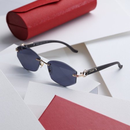 نظارة كارتير ستاتي