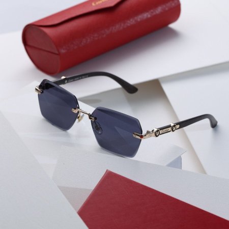 نظارة كارتير ستاتي